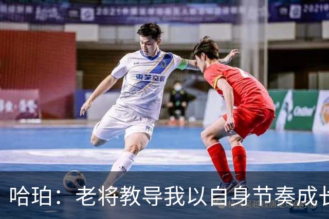 哈珀：老将教导我以自身节奏成长，无需与他人比较