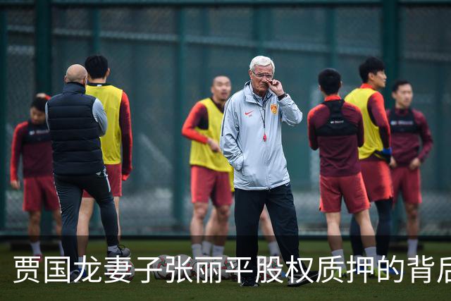 贾国龙妻子张丽平股权质押的背后